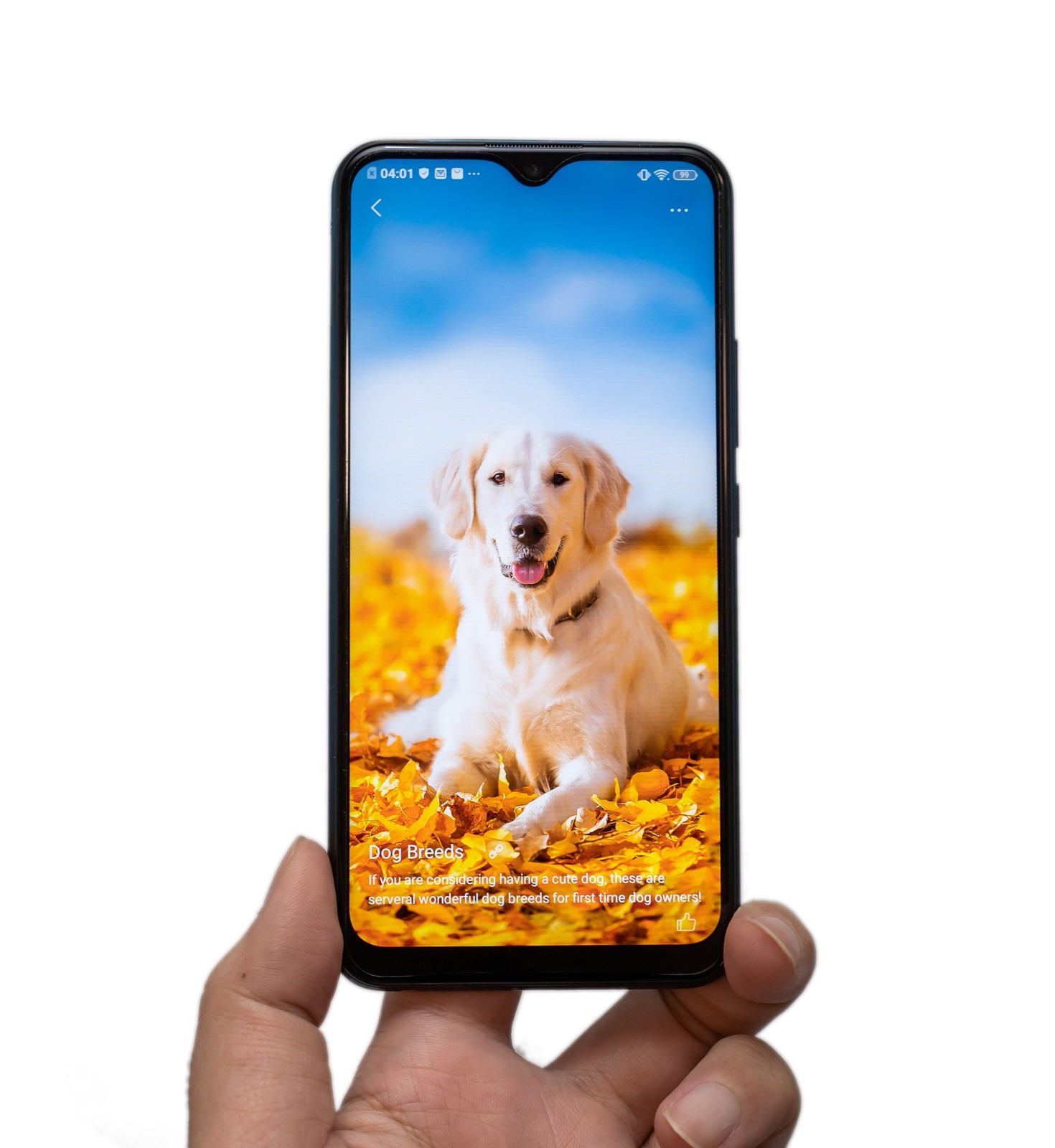 父親節要送什麼送禮首選 vivo Y17 高 CP 實用超值手機！ @3C 達人廖阿輝