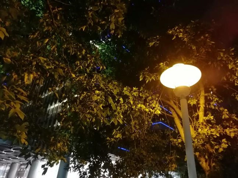 好拍好看又好用 HUAWEI Y9 Prime 2019 可以輕鬆入手的全螢幕手機! @3C 達人廖阿輝 好拍好看又好用 HUAWEI Y9 Prime 2019 可以輕鬆入手的全螢幕手機! @3C 達人廖阿輝