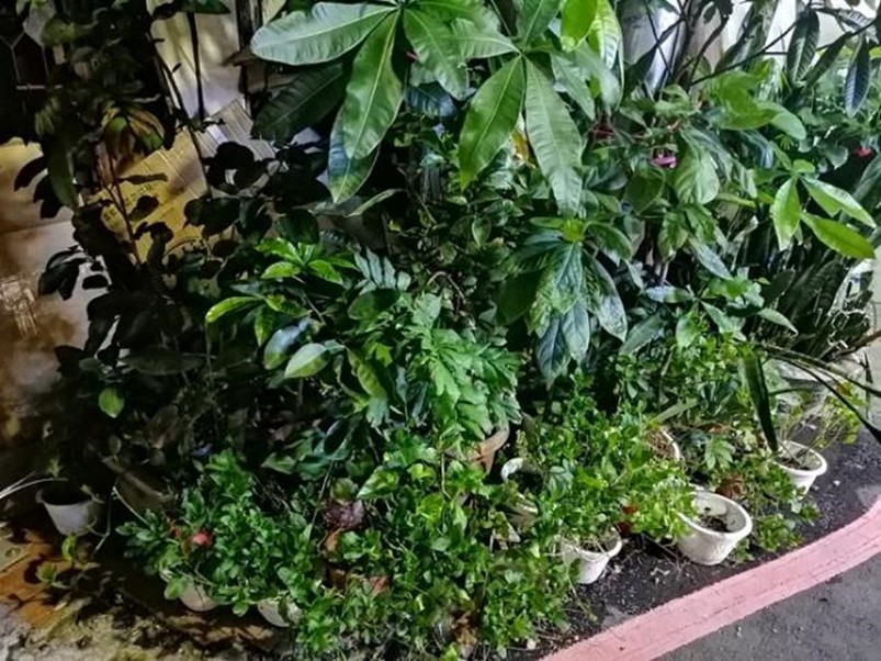 好拍好看又好用 HUAWEI Y9 Prime 2019 可以輕鬆入手的全螢幕手機! @3C 達人廖阿輝 好拍好看又好用 HUAWEI Y9 Prime 2019 可以輕鬆入手的全螢幕手機! @3C 達人廖阿輝