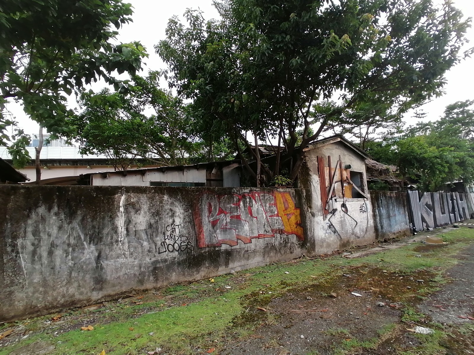 好拍好看又好用 HUAWEI Y9 Prime 2019 可以輕鬆入手的全螢幕手機！ @3C 達人廖阿輝