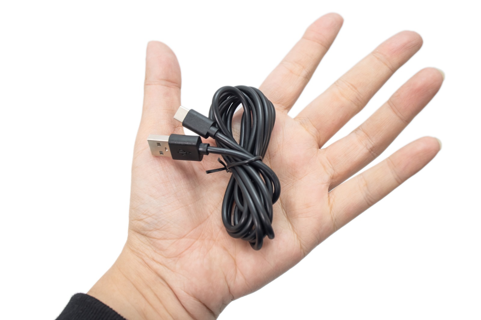 抗蚊植物 - ラベンダー・スピカまたはラベンダー