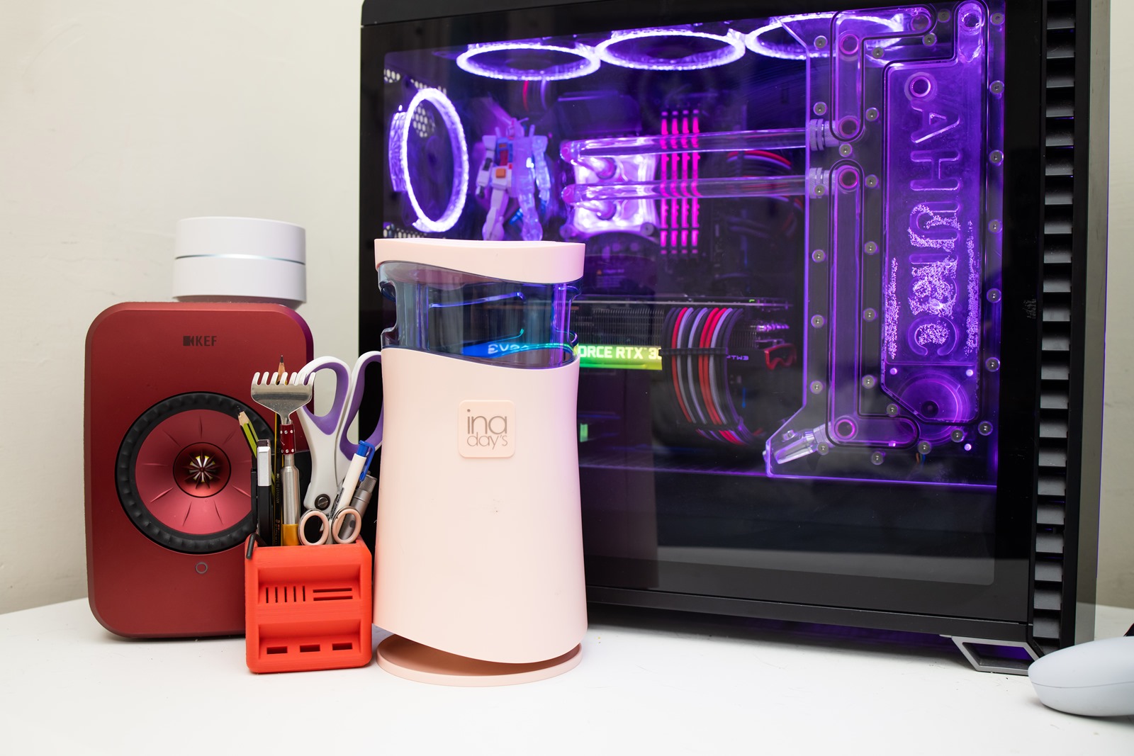 抗蚊植物 - ペラルゴニウム・シトロドルムまたは抗蚊ゼラニウム