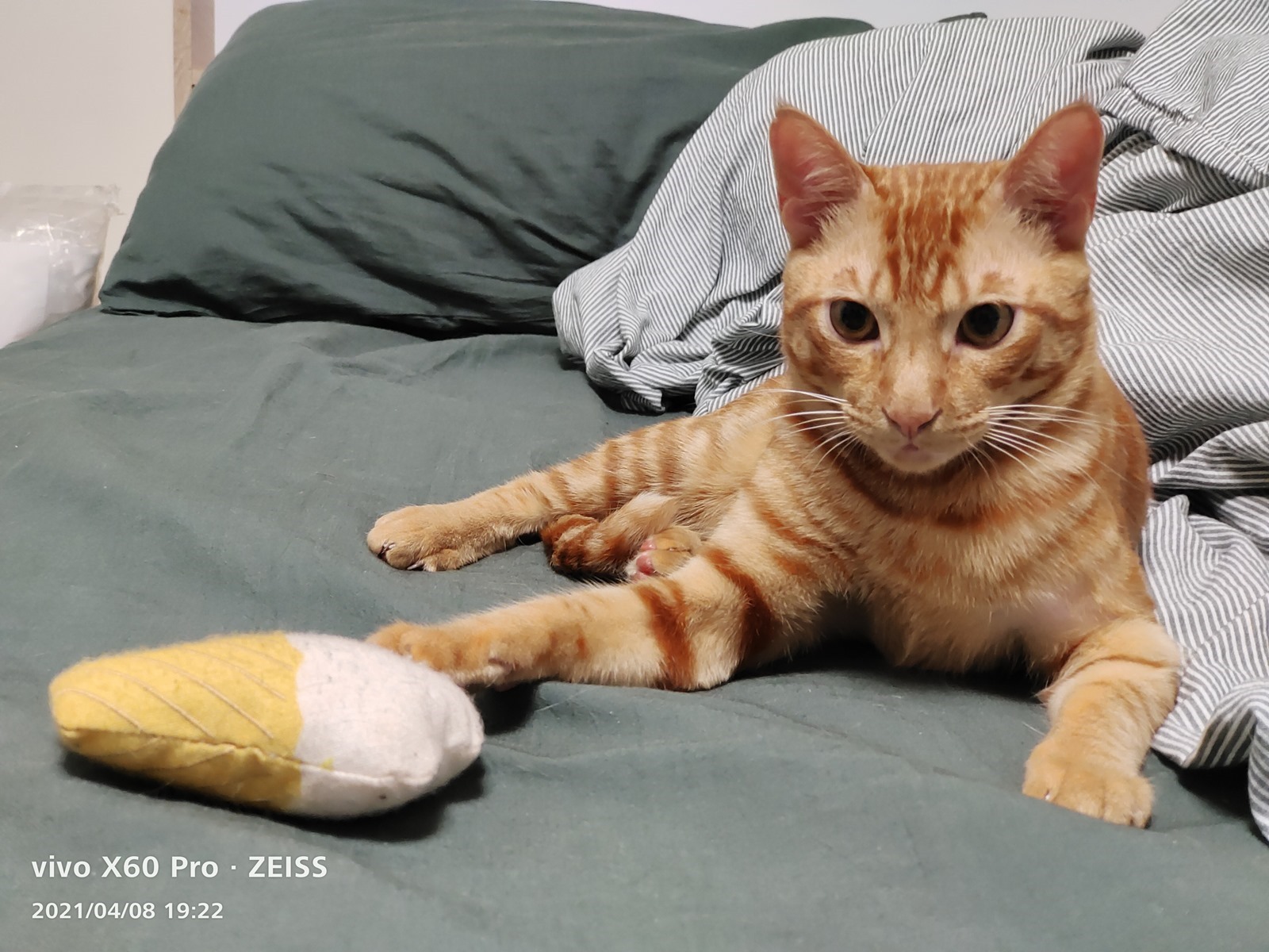 輕巧旗艦 vivo X60 Pro 完整評測！蔡司加值微雲台 2.0 更強大 @3C 達人廖阿輝