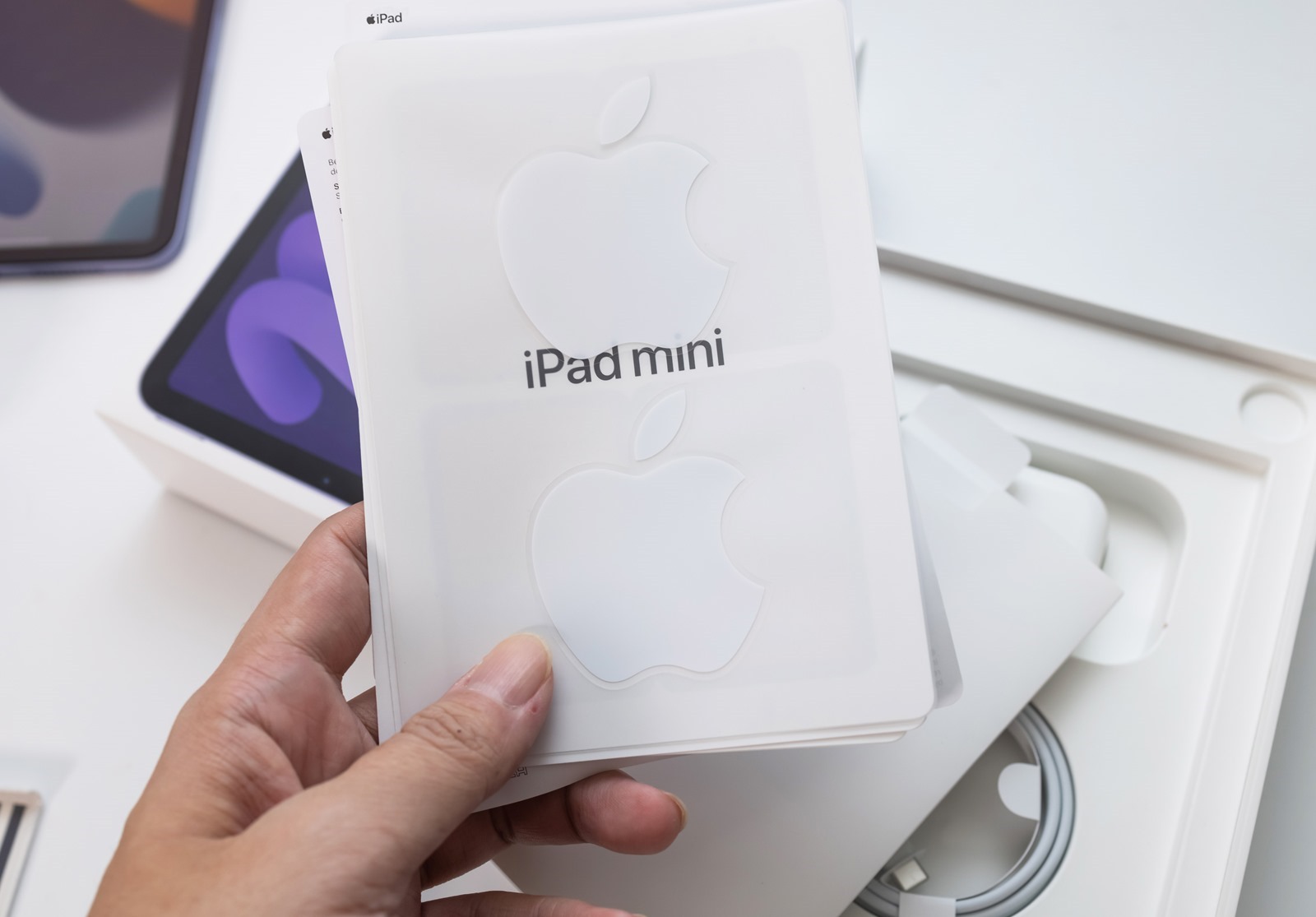 小巧又強大！ Apple iPad Mini 6 開箱 + 性能電力實測 + 相機實拍分享 @3C 達人廖阿輝