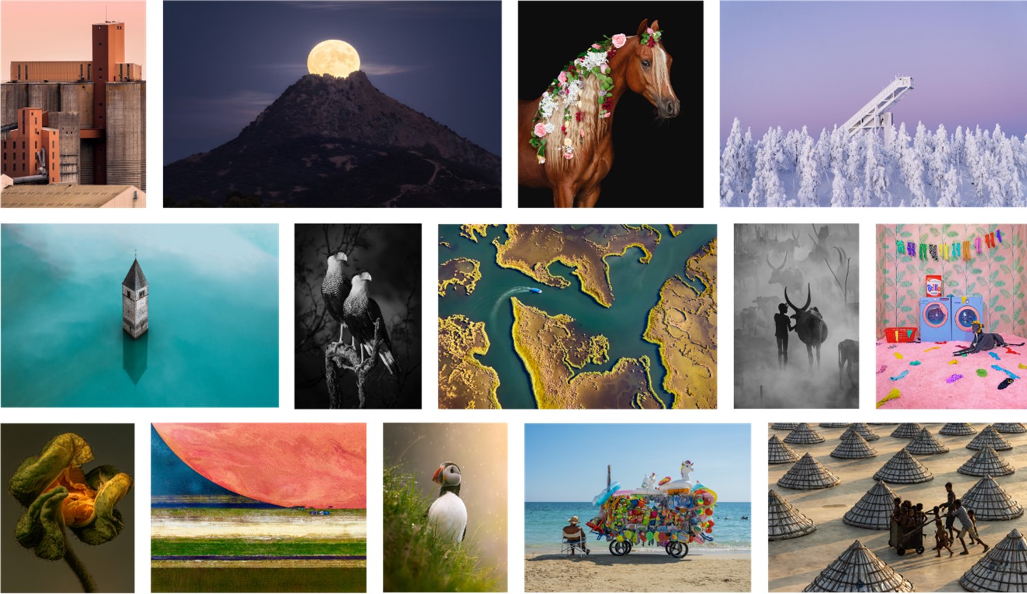 2023 索尼世界攝影大獎 得獎名單出爐！ @3C 達人廖阿輝