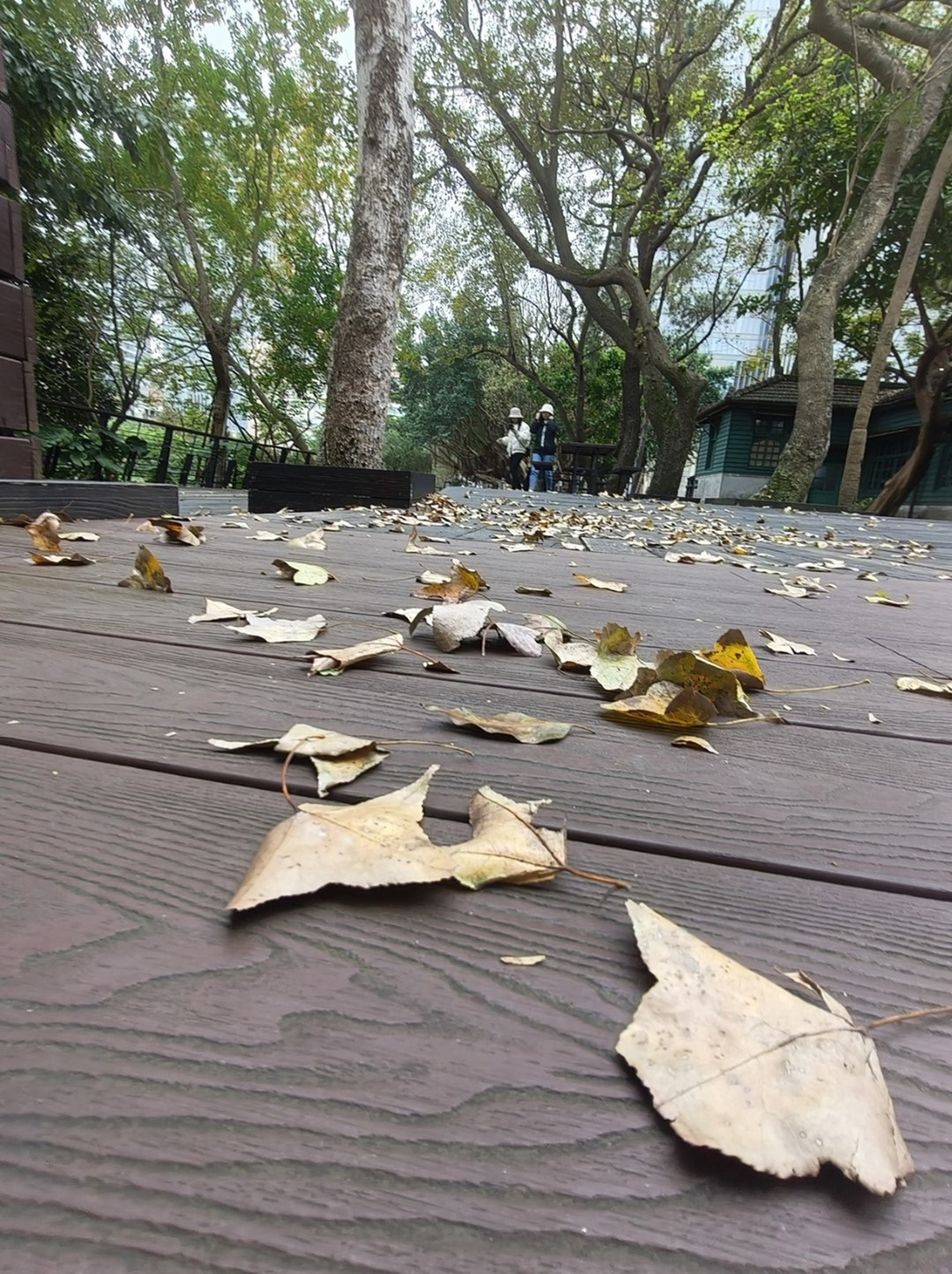 人像專家 Reno11 Pro 新機開箱評測 新年入手人像機的最佳選擇 @3C 達人廖阿輝