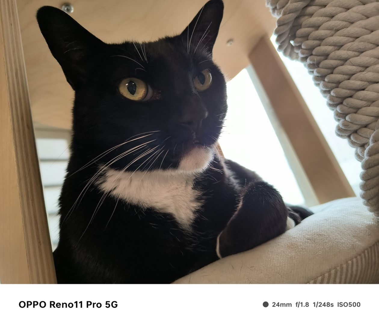 人像專家 Reno11 Pro 新機開箱評測 新年入手人像機的最佳選擇 @3C 達人廖阿輝