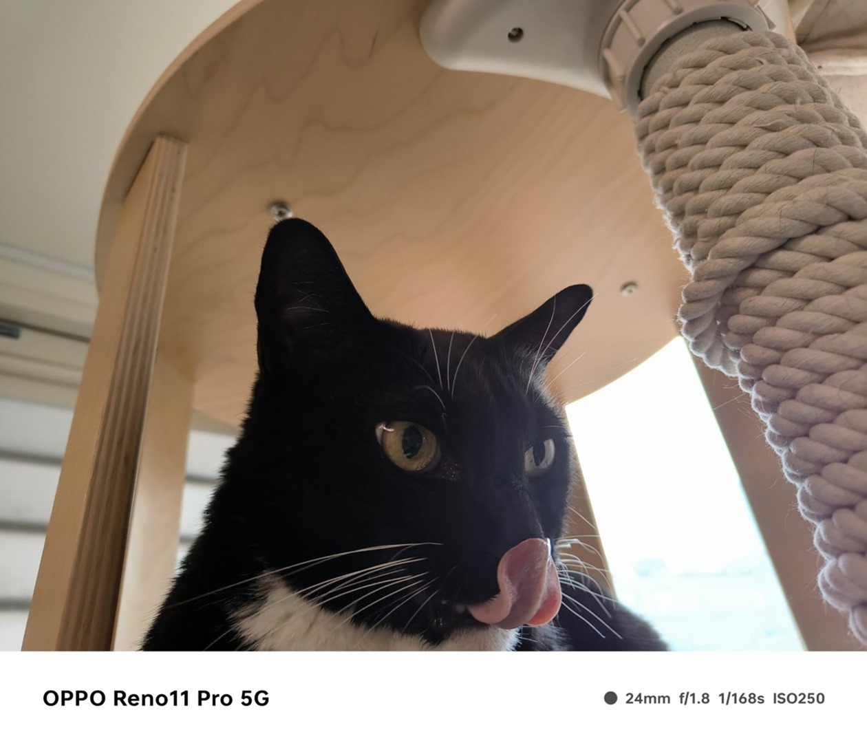 人像專家 Reno11 Pro 新機開箱評測 新年入手人像機的最佳選擇 @3C 達人廖阿輝