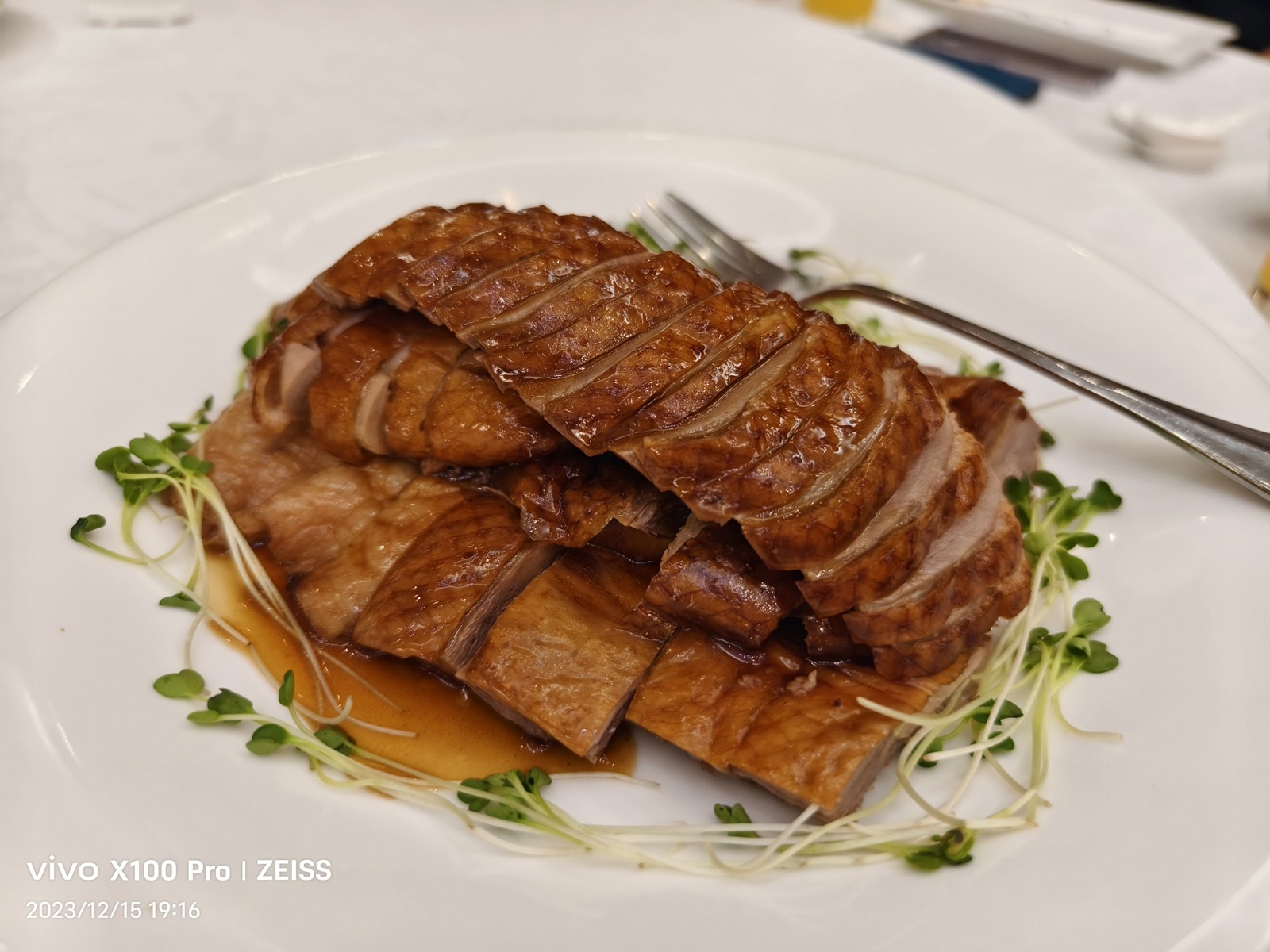 全面旗艦 vivo X100 Pro 真的強！最強手機長焦鏡頭很有感 @3C 達人廖阿輝