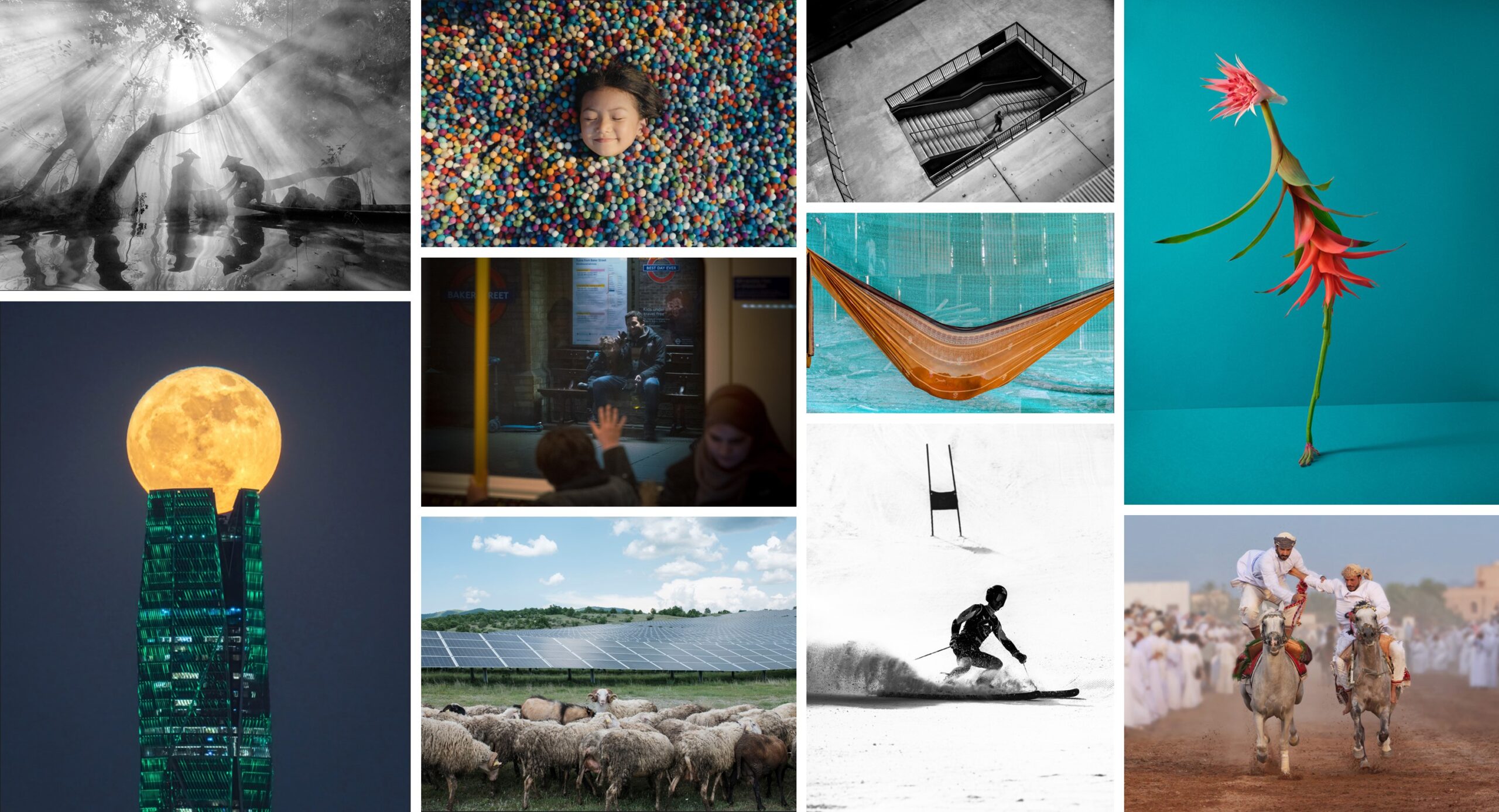 規模最大國際攝影賽事 2024 索尼世界攝影大獎 得獎名單公開！專業賽、公開賽、區域國家獎傑出作品躍上國際舞台 @3C 達人廖阿輝