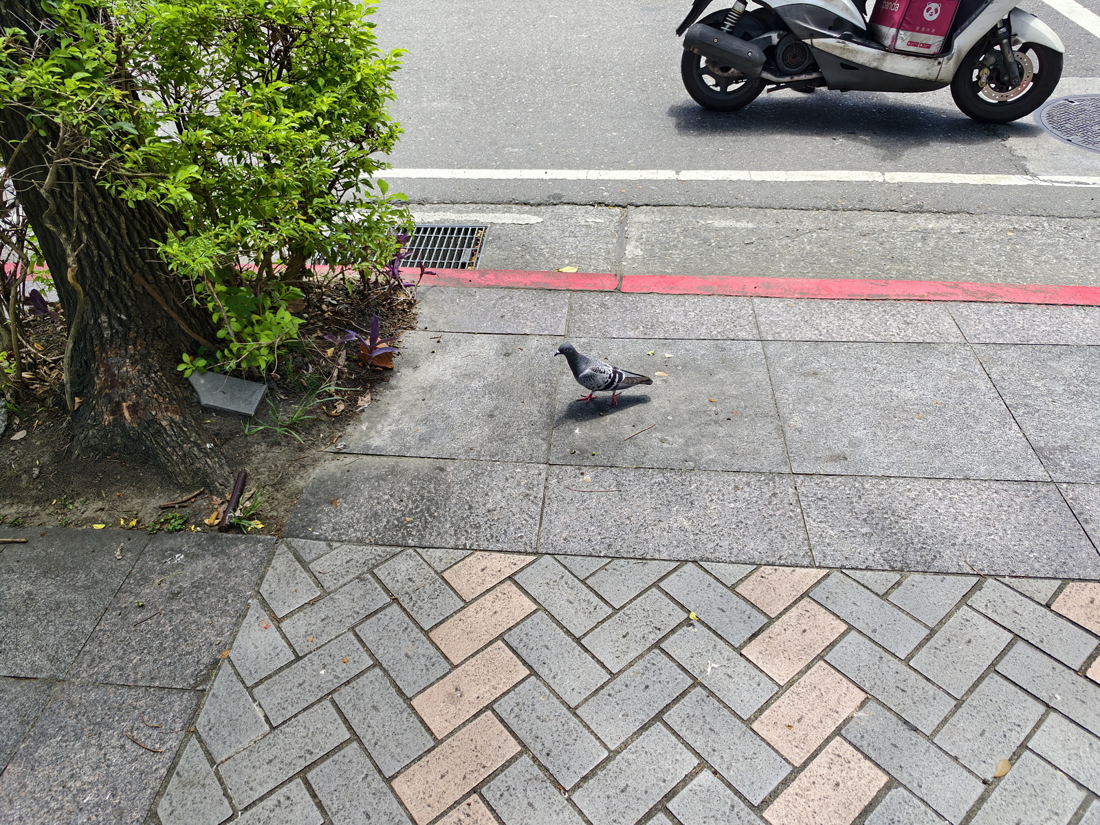 超薄超輕摺疊機新標竿！vivo X Fold5 完整評測：9.2mm 厚度 + 6000mAh 藍海大電池 + 蔡司三鏡頭 @3C 達人廖阿輝