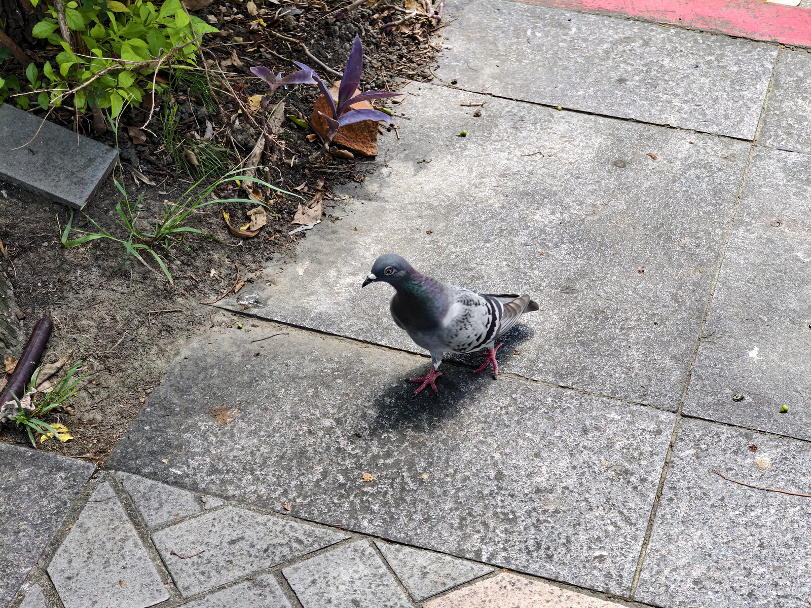 超薄超輕摺疊機新標竿！vivo X Fold5 完整評測：9.2mm 厚度 + 6000mAh 藍海大電池 + 蔡司三鏡頭 @3C 達人廖阿輝