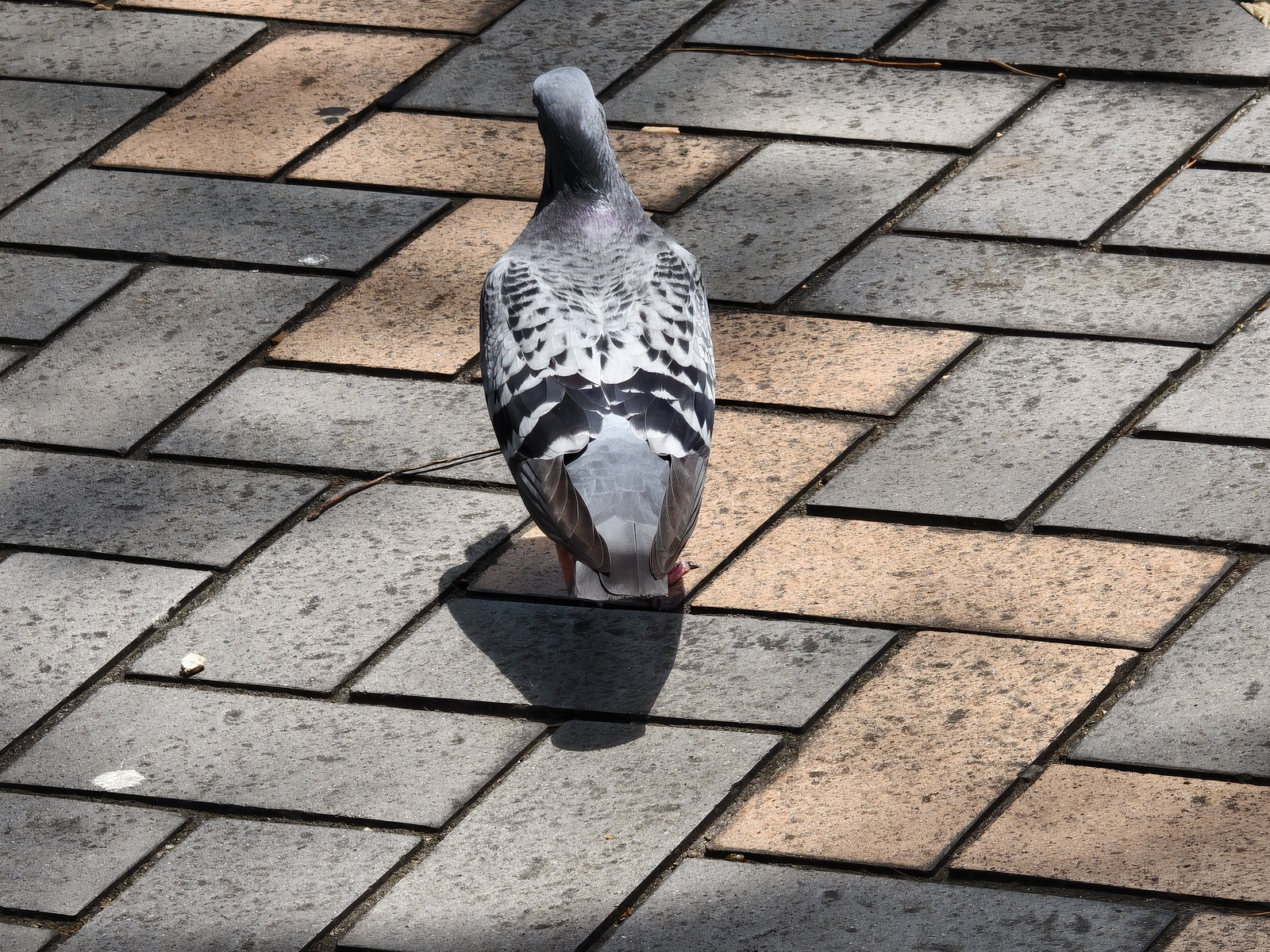 超薄超輕摺疊機新標竿！vivo X Fold5 完整評測：9.2mm 厚度 + 6000mAh 藍海大電池 + 蔡司三鏡頭 @3C 達人廖阿輝