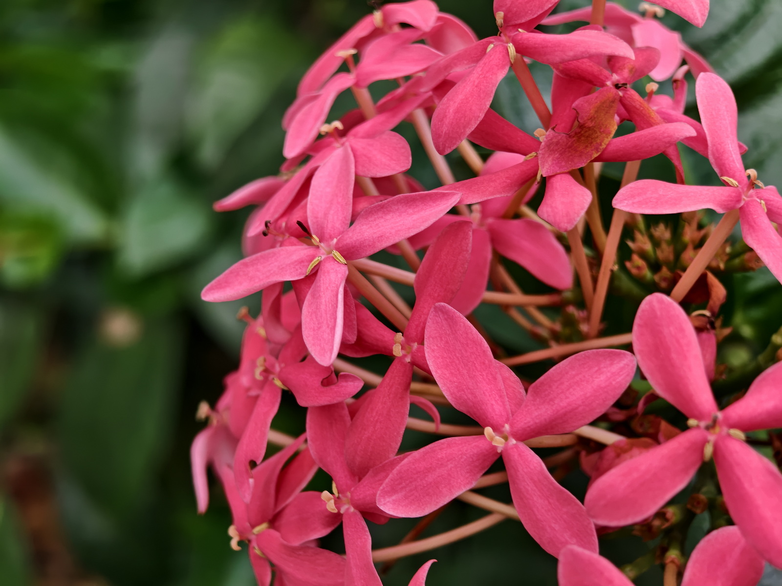 超薄超輕摺疊機新標竿！vivo X Fold5 完整評測：9.2mm 厚度 + 6000mAh 藍海大電池 + 蔡司三鏡頭 @3C 達人廖阿輝