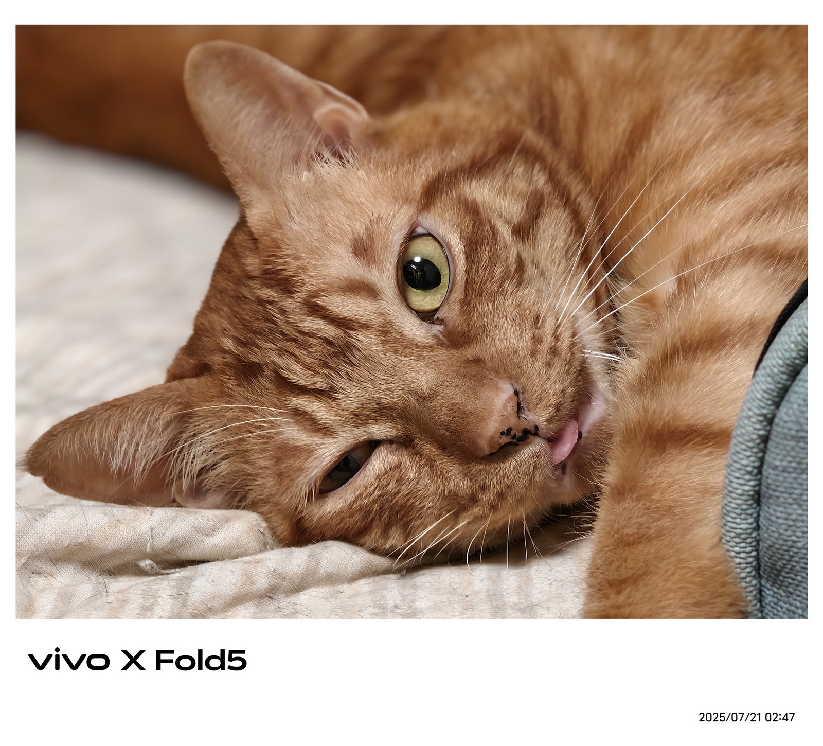 超薄超輕摺疊機新標竿！vivo X Fold5 完整評測：9.2mm 厚度 + 6000mAh 藍海大電池 + 蔡司三鏡頭 @3C 達人廖阿輝