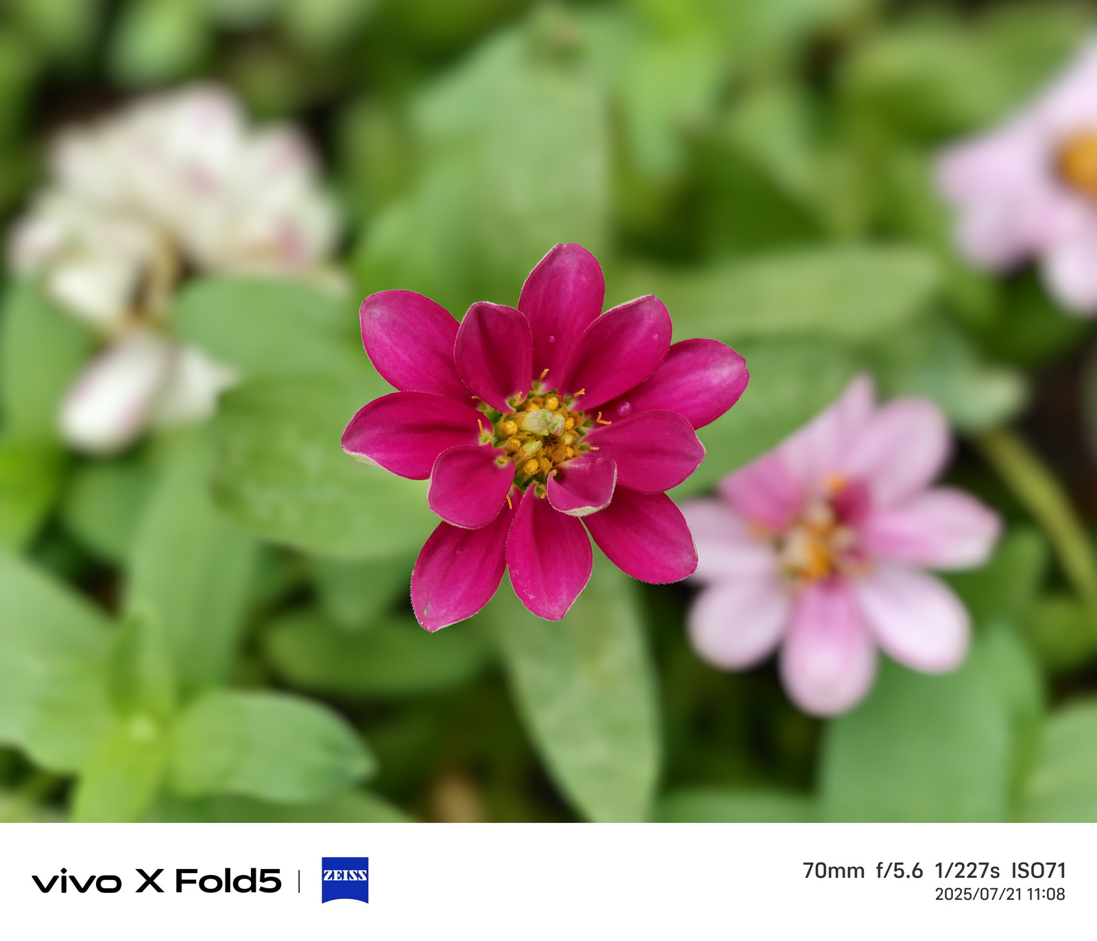 超薄超輕摺疊機新標竿！vivo X Fold5 完整評測：9.2mm 厚度 + 6000mAh 藍海大電池 + 蔡司三鏡頭 @3C 達人廖阿輝