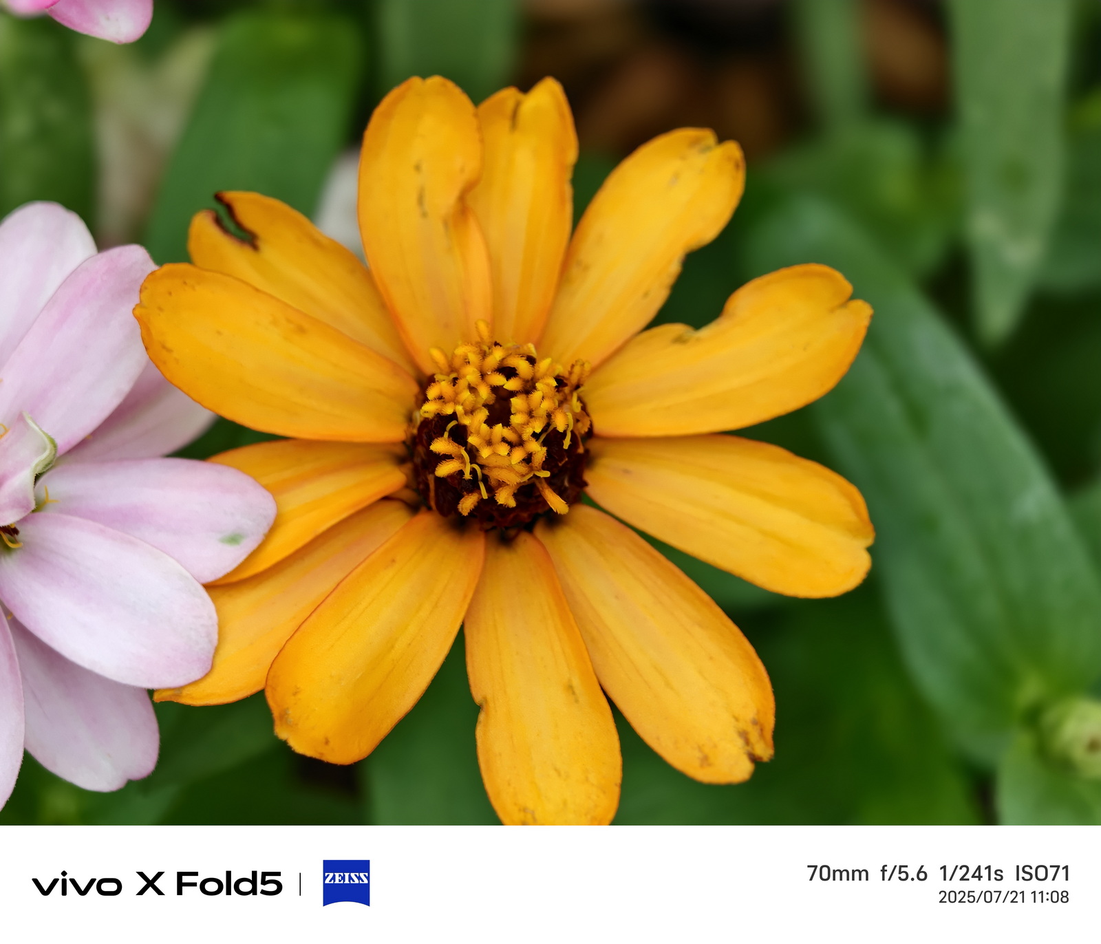 超薄超輕摺疊機新標竿！vivo X Fold5 完整評測：9.2mm 厚度 + 6000mAh 藍海大電池 + 蔡司三鏡頭 @3C 達人廖阿輝