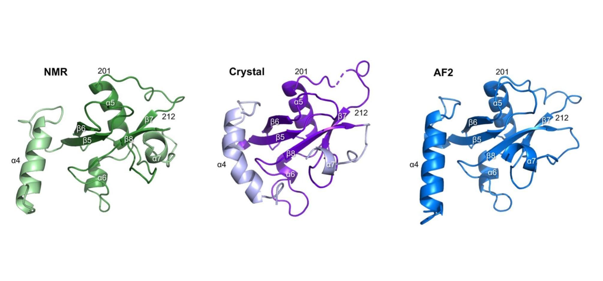 Google 深化在台承諾 共同開創 AI 新未來 @3C 達人廖阿輝