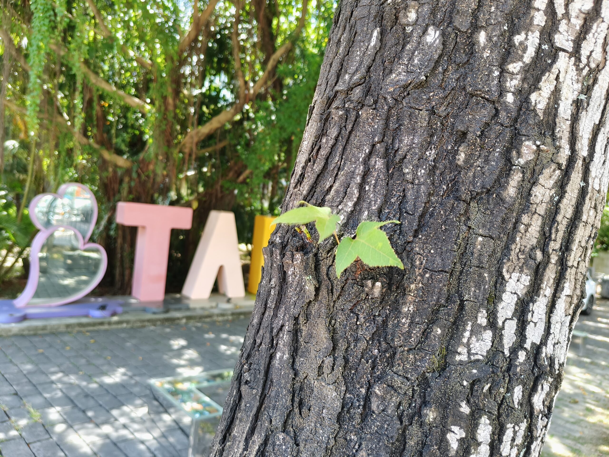 護眼革命新標竿！TCL NXTPAPER 60 Ultra 全面評測  @3C 達人廖阿輝