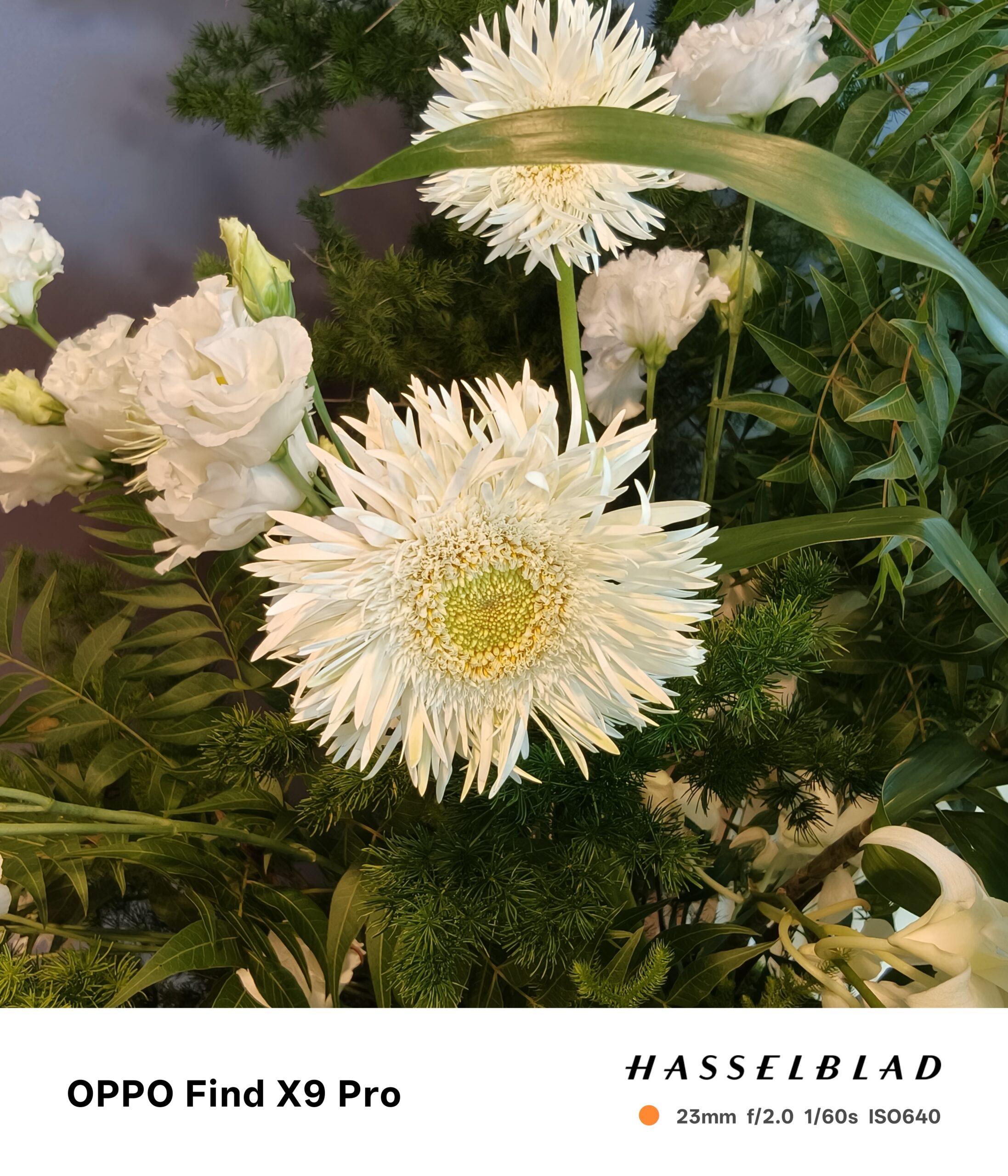 OPPO Find X9 系列登場　2 億畫素哈蘇長焦、天璣 9500 晶片與 7000mAh 超級電量問鼎旅拍旗艦 @3C 達人廖阿輝