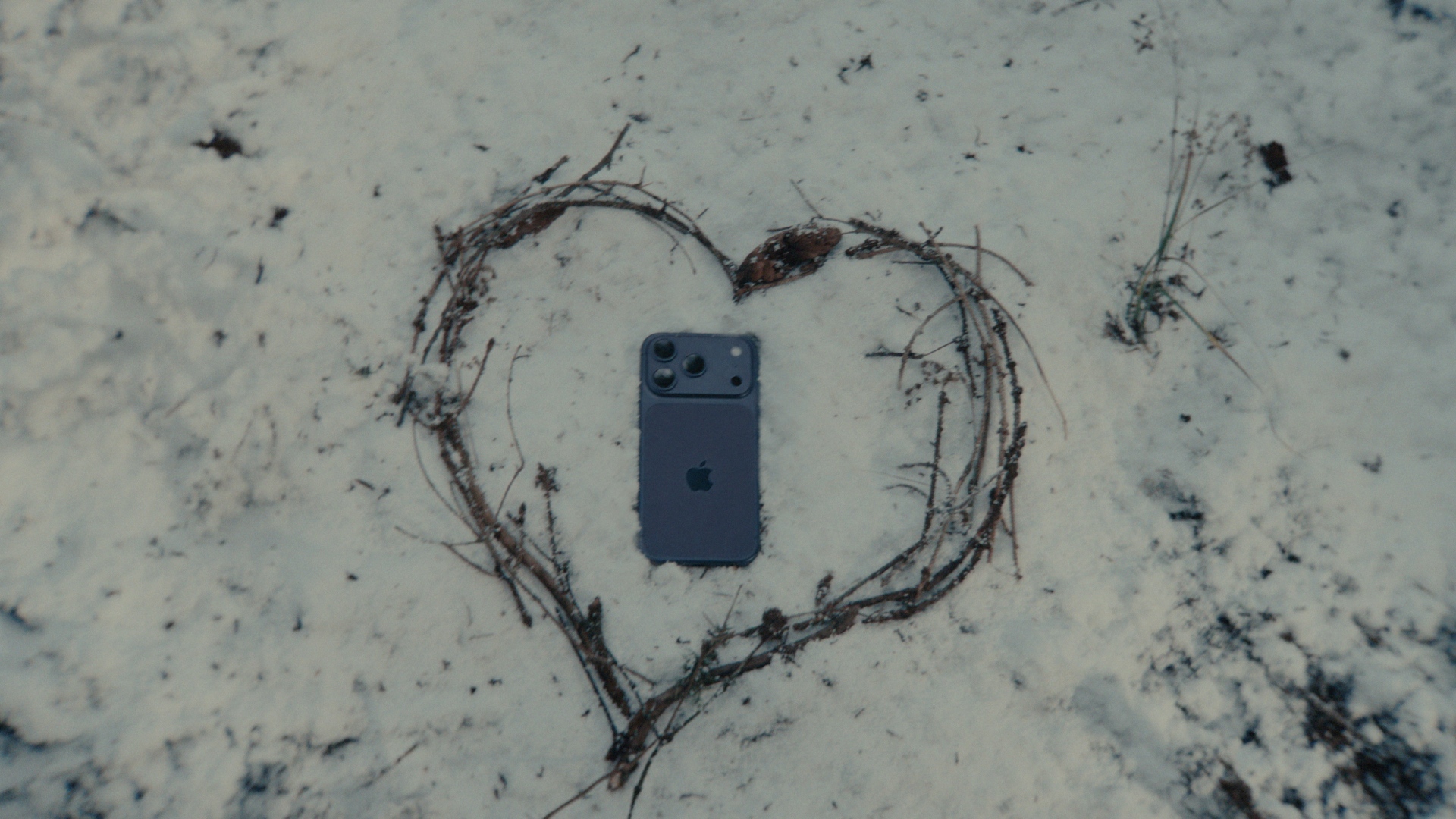 Apple 推出節慶短片《A Critter Carol》以 iPhone 17 Pro 拍攝溫暖呈現「意想不到的友情」@3C 達人廖阿輝