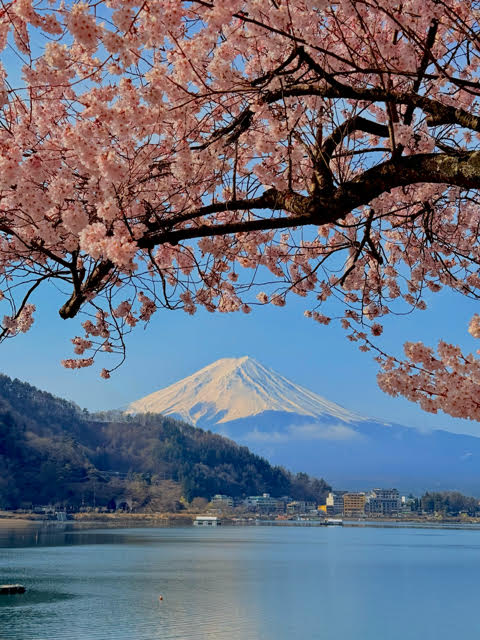 迎接春節 9 天年假 攝影師紀映光分享 iPhone 實用拍攝小技巧 用 iPhone 17 Pro Max 輕鬆捕捉走春時刻 拍出滿滿年節氛圍感大片 @3C 達人廖阿輝