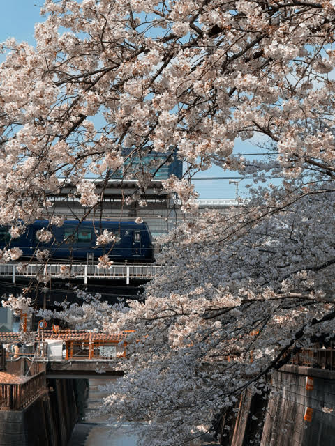 迎接春節 9 天年假 攝影師紀映光分享 iPhone 實用拍攝小技巧 用 iPhone 17 Pro Max 輕鬆捕捉走春時刻 拍出滿滿年節氛圍感大片 @3C 達人廖阿輝